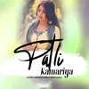 About Patli Kamariya Song